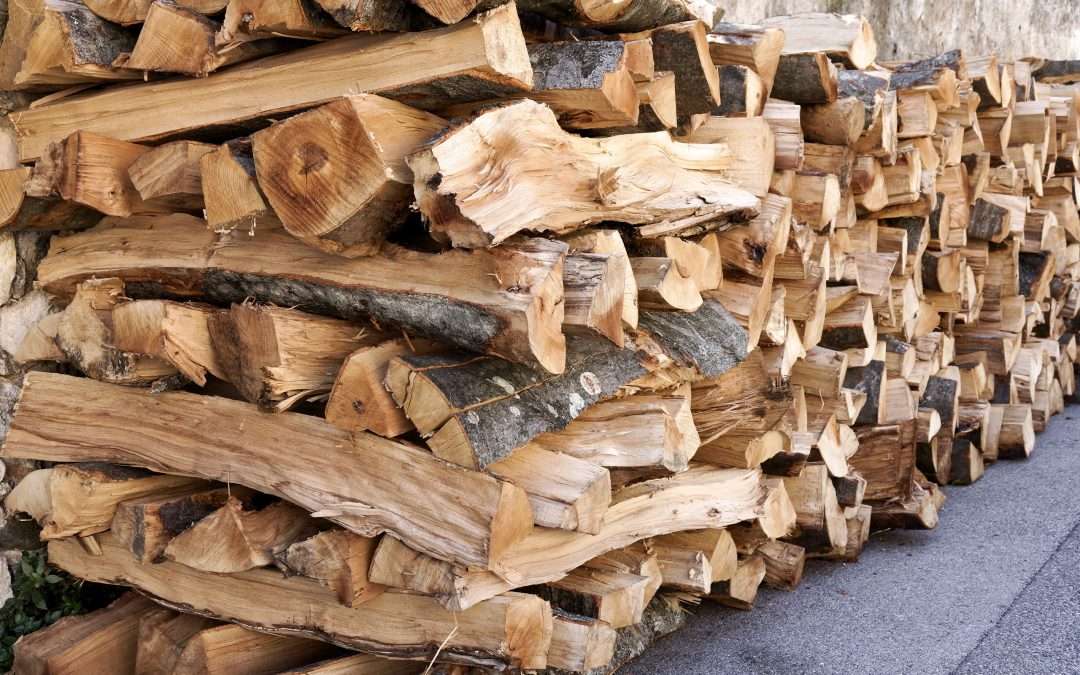 How to Transform Your Outdoor Experience with Pinion Wood from Freedom Firewood