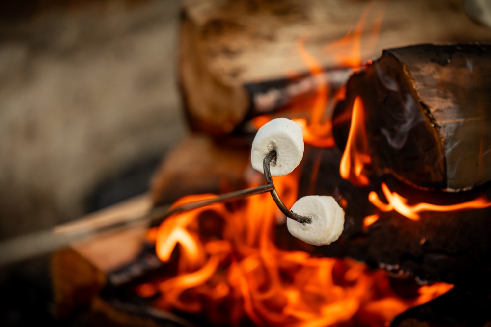 The Ultimate Guide to Building the Perfect Campfire for Cooking S’mores